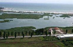 Primăria Mangalia