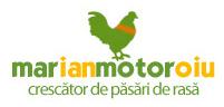 S.c. Marmotor Company S.r.l, Breaza