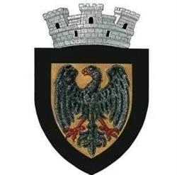 Primăria Negreşti