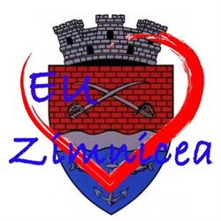 Primaria Orasului Zimnicea