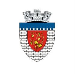 Primăria Târgu Neamţ