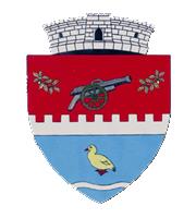 Primăria Tunari