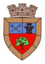 Primaria Orasului Videle