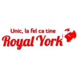 SC Royal York SRL, Chiajna