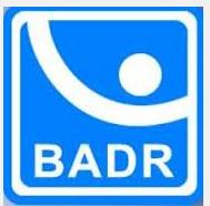 Bad Rulmenti SA, Braşov