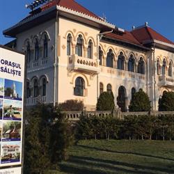 Primăria Sălişte