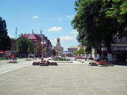 Primăria Sânnicolau Mare