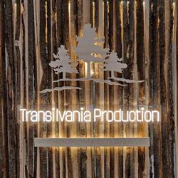 Transilvania Production SRL, Câmpeni