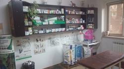 Veterinaria S.r.l, Oradea
