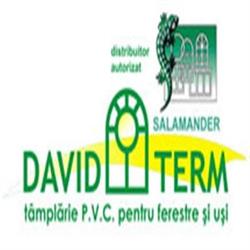 SC David Term SRL, Buzău