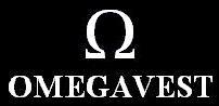 Omegavest Constructii, Oradea
