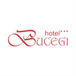 Perla Bucegi SRL Sinaia - Hotel Anda