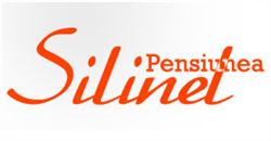 Pensiunea Silinel, Abrud