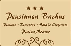 Pensiunea Bachus, Piatra-Neamţ