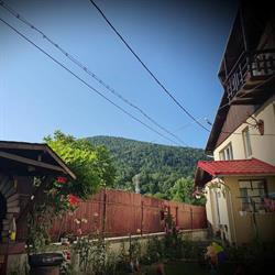 Casa Coca, Azuga