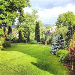 Pensiunea Casa Contelui, Râşnov