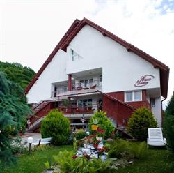 Pensiunea Casa Diana, Sovata