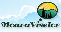 Pensiunea Moara Viselor, Vaideeni