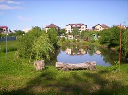 Pensiunea Connyland, Băile Felix