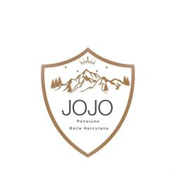 Pensiunea Jojo 2, Băile Herculane