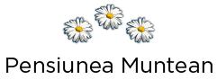Muntean Maria, Sibiel