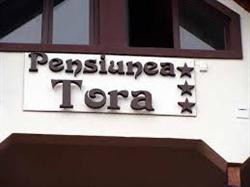 Pensiunea Tora, Dorna-Arini