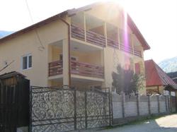 Vila Remmar, Ciungetu