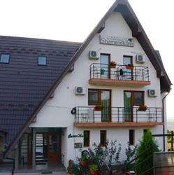 Pensiune & Restaurant Shamrock Inn, Iaşi