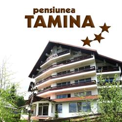 Pensiunea Tamina, Predeal