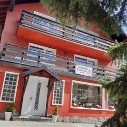 Pensiunea Paunasul, Buşteni
