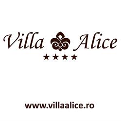 Villa Alice, Suceava