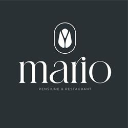 Pensiune si Restaurant Mario, Beiuş