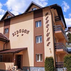 Pensiunea Eidolon, Buşteni