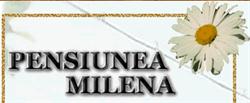 Pensiunea Modern, Mioveni