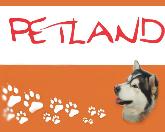 Petland Grădiniţă şi Pensiune Canină, Arad