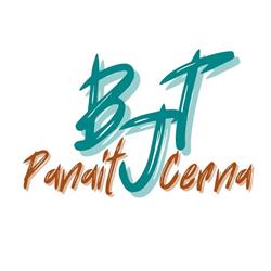 Biblioteca Judeţeană Panait Cerna, Tulcea