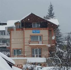 Vila Dalin, Predeal