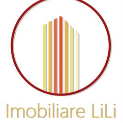 Agentia Imobiliara Imobiliare Lmb Lili, Baia Mare