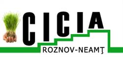 Centrul de Incubare Creativ-Inovativ de Afaceri, Roznov