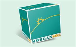 Morgan Sol SRL, Bucureşti