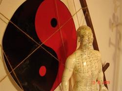 Cabinet Medical Particular Orl Si Acupunctura - Fotescu Otto-Gheorghe, Bucureşti