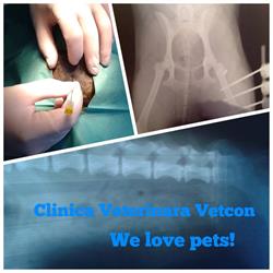 SC Vetcon SRL, Sibiu