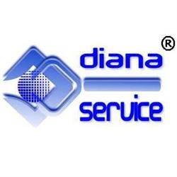 SC Diana Fiscal Service SRL, Satu Mare