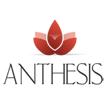 S.c. Anthesis International S.r.l, Bucureşti