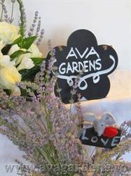 Ava Gardens, Bucureşti