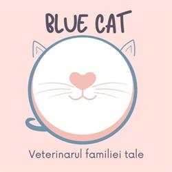 Blue Cat, Bucureşti