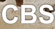 C.B.S. S.A, Satu Mare
