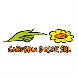 Gardenia Decor, Odorheiu Secuiesc