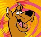 Asociaţia Scooby Kindergarten, Dumbrăviţa