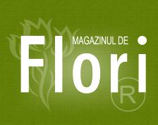 Magazinul de Flori, Bucureşti